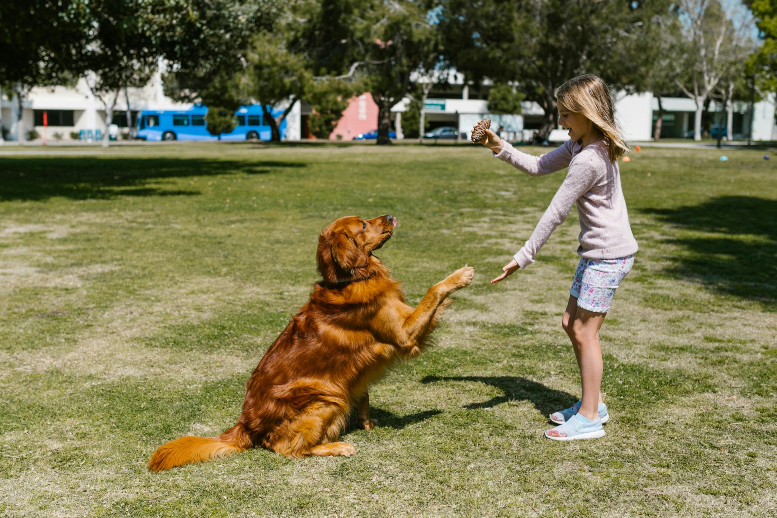 10 little things your pet does that actually mean “i love you”