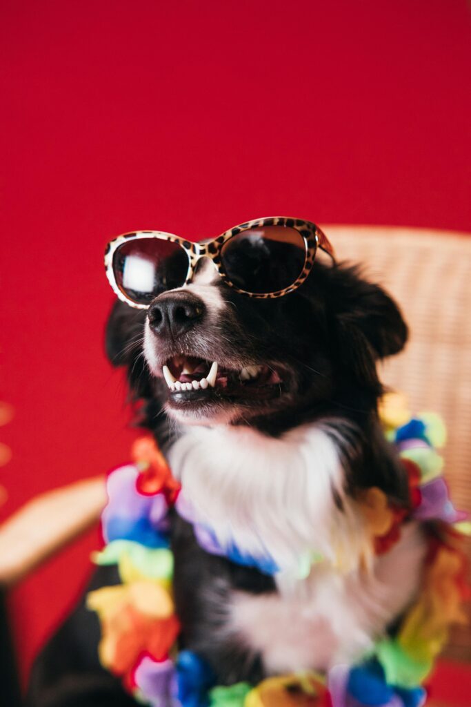 from stress to smiles how pets secretly heal our daily lives (2)
