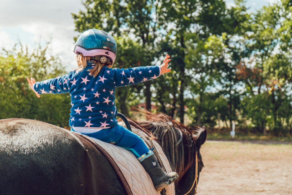 daily horse routine